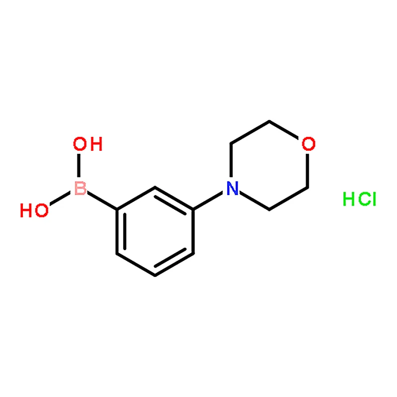 RHAWN 3-Morpholinophenylboronic acid hydrochloride