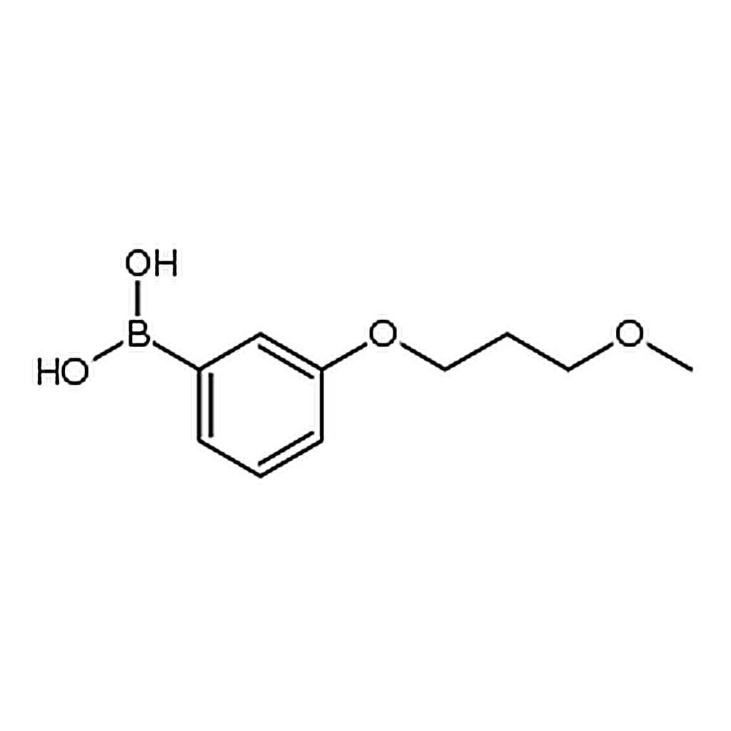RHAWN (3-(3-Methoxypropoxy)phenyl)boronic acid