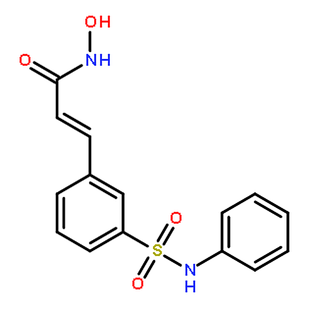 RHAWN Belinostat