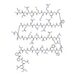 RHAWN Corticotropin Releasing Factor human, rat