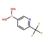 RHAWN (6-(Trifluoromethyl)pyridin-3-yl)boronic acid