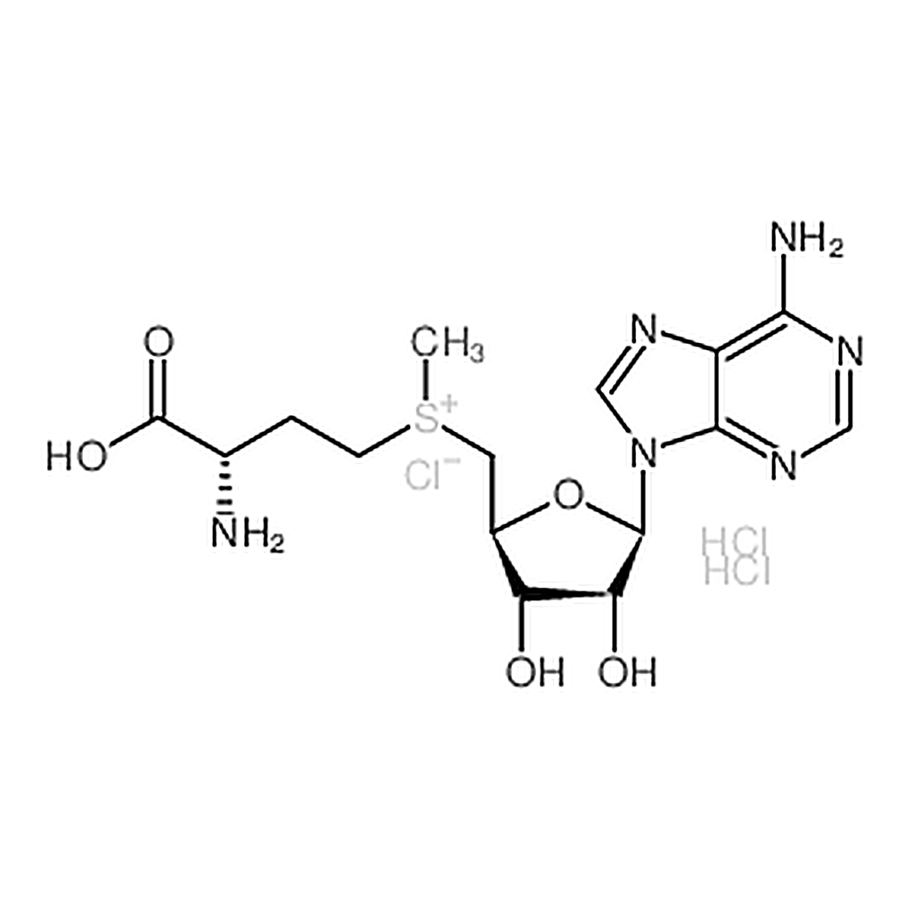RHAWN S-(5-Adenosyl)-L-methionine chloride dihydrochloride