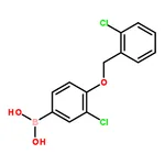 RHAWN (3-Chloro-4-((2-chlorobenzyl)oxy)phenyl)boronic acid