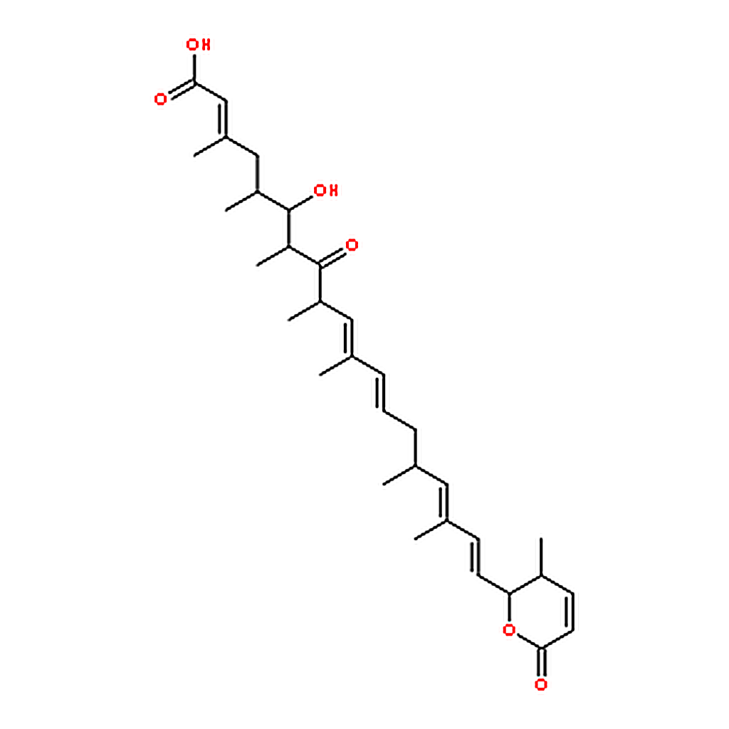 RHAWN Leptomycin A
