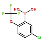 RHAWN (5-Chloro-2-(trifluoromethoxy)phenyl)boronic acid