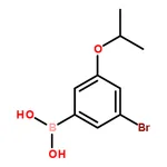 RHAWN (3-Bromo-5-isopropoxyphenyl)boronic acid