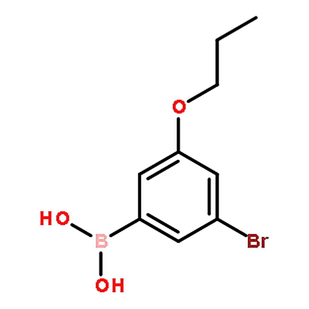 RHAWN (3-Bromo-5-propoxyphenyl)boronic acid