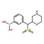 RHAWN (3-(Morpholinosulfonyl)phenyl)boronic acid