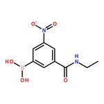 RHAWN 3-(Ethylcarbamoyl)-5-nitrophenylboronic acid