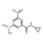 RHAWN (3-(Cyclopropylcarbamoyl)-5-nitrophenyl)boronic acid
