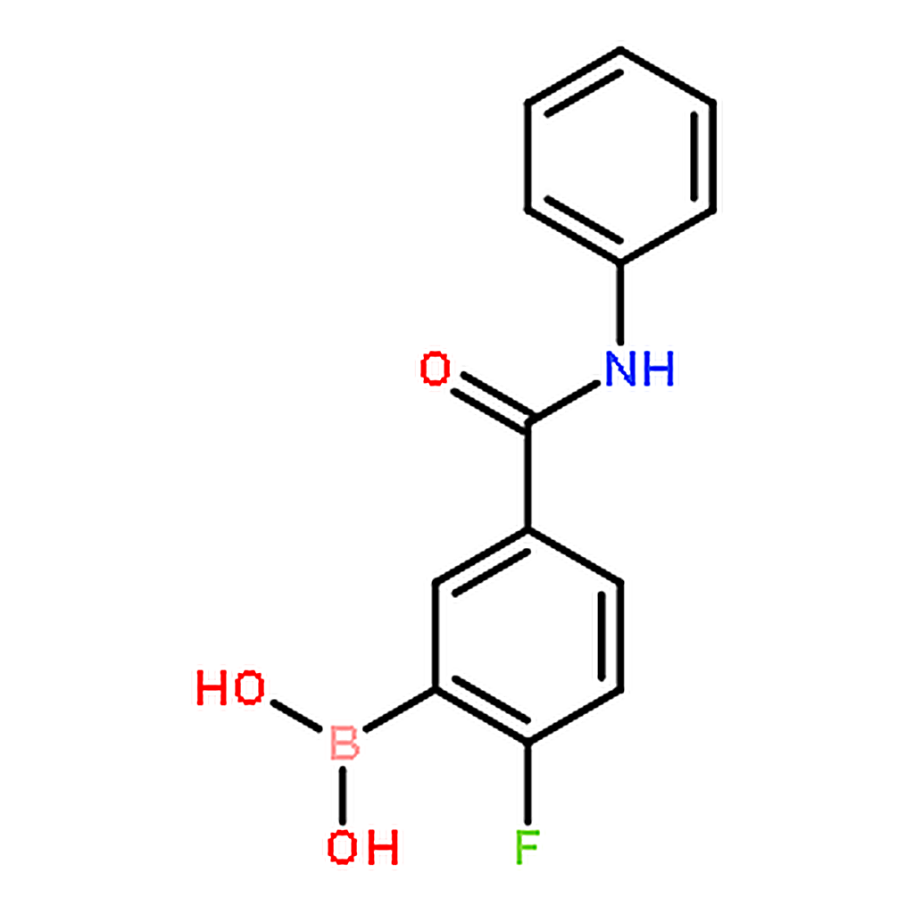 RHAWN (2-Fluoro-5-(phenylcarbamoyl)phenyl)boronic acid