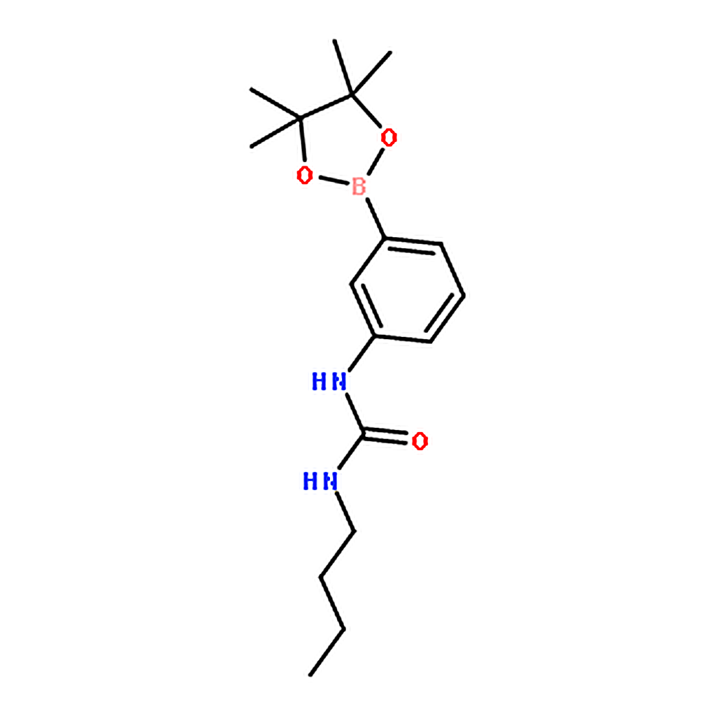 RHAWN 1-Butyl-3-(3-(4，4，5，5-tetramethyl-1，3，2-dioxaborolan-2-yl)phenyl)urea