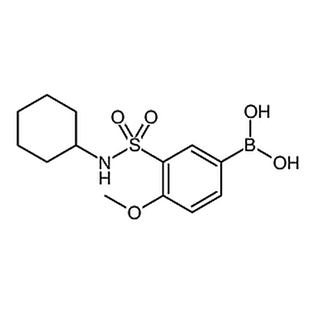 RHAWN (3-(N-Cyclohexylsulfamoyl)-4-methoxyphenyl)boronic acid