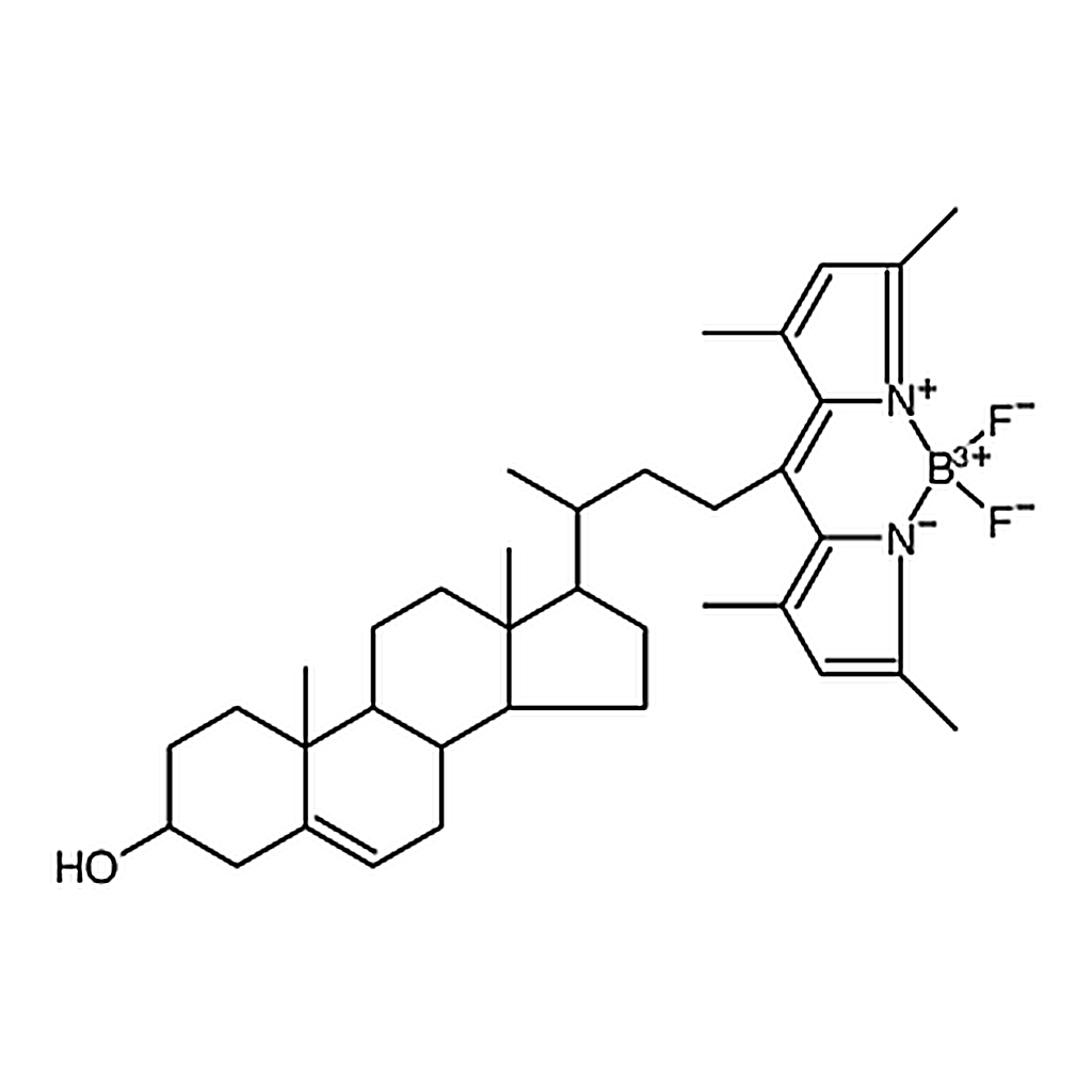 RHAWN 23-(dipyrrometheneboron difluoride)-24-norcholesterol