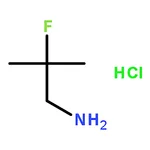 RHAWN 2-Fluoro-2-Methyl-propylaMine hydrochloride