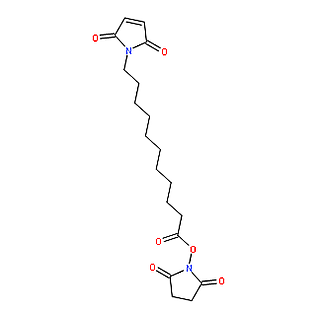 RHAWN N-Succinimidyl 11-Maleimidoundecanoate