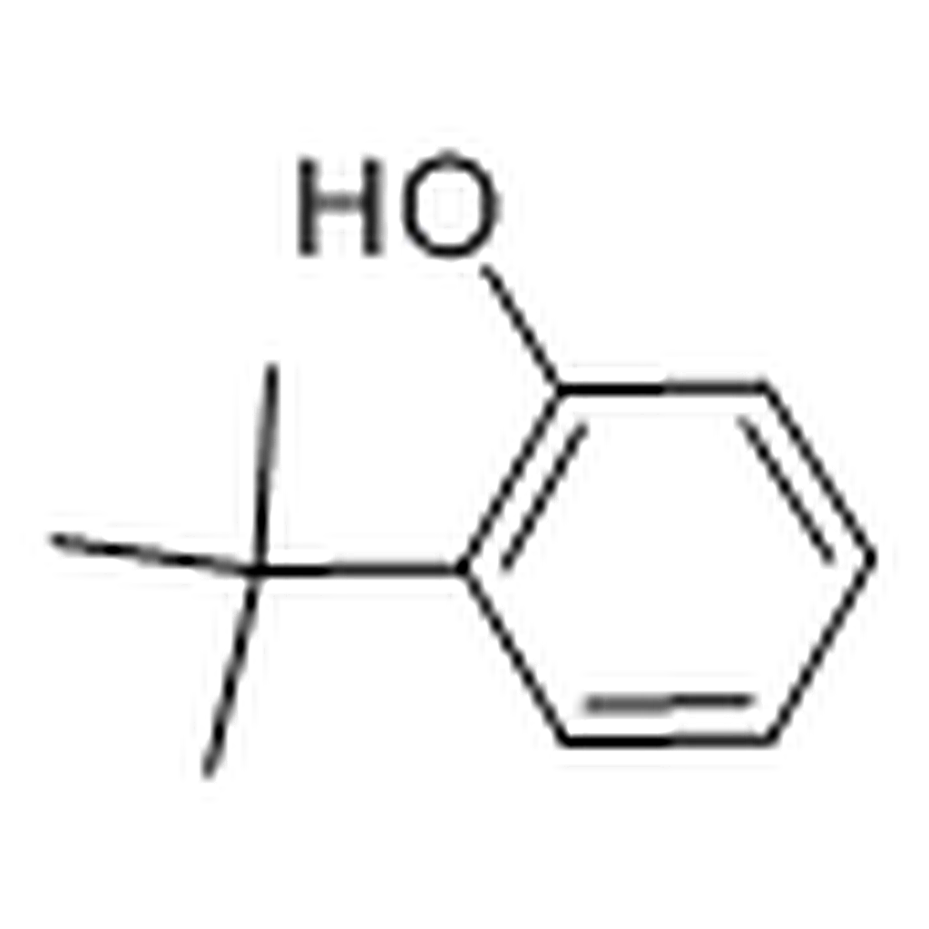 RHAWN 2-tert-Butylphenol