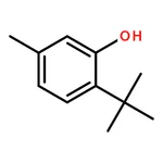 RHAWN 2-(tert-butyl)-5-methylphenol