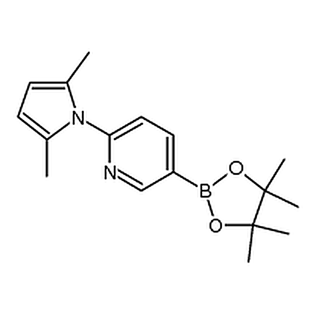 RHAWN 2-(2，5-diMethyl-1H-pyrrol-1-yl)-5-(4，4，5，5-tetraMethyl-1，3，2-dioxaborolan-2-yl)pyridine