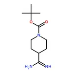 RHAWN 1-Boc-4-piperidinamidine