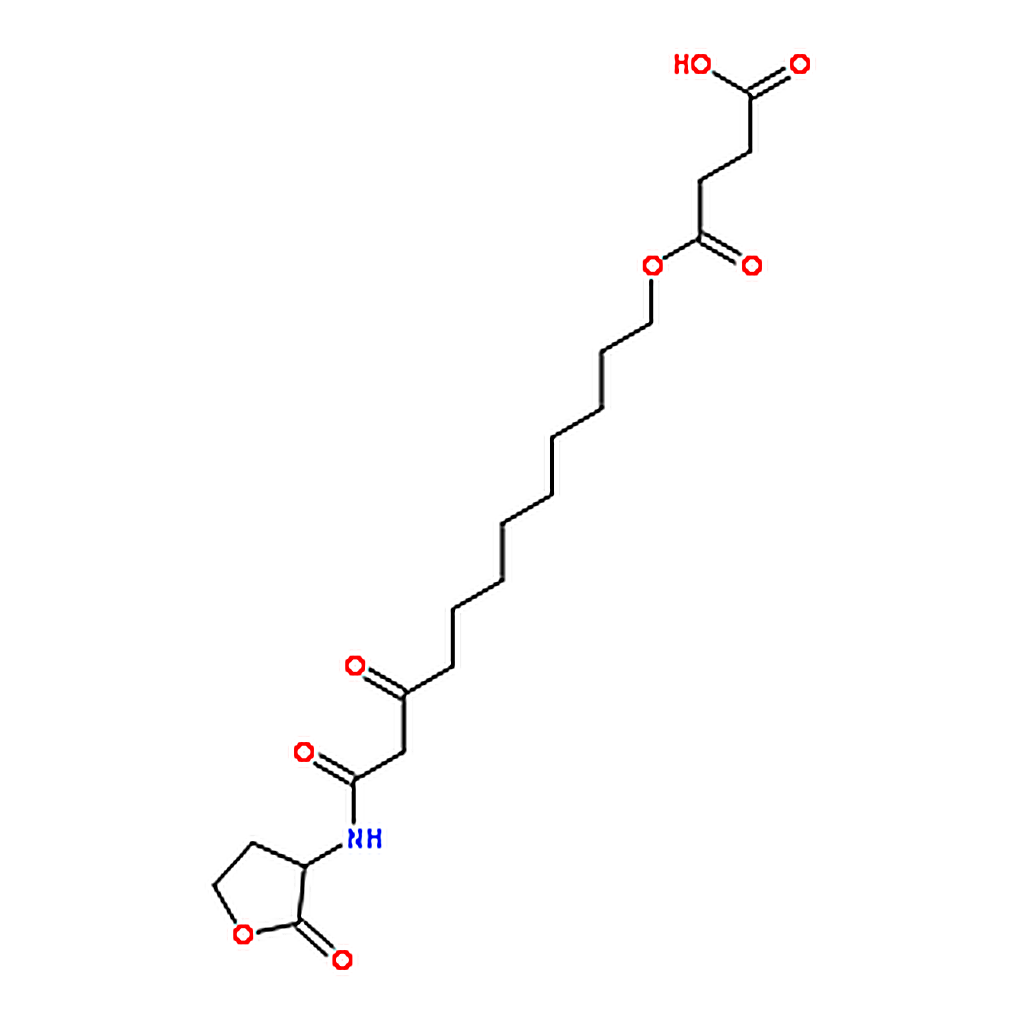 RHAWN 3-((11-((S)-tetrahydro-2-oxofuran-3-ylcarbamoyl)-10-oxoundecyloxy)carbonyl)propanoicacid