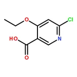 RHAWN 6-Chloro-4-ethoxynicotinic acid