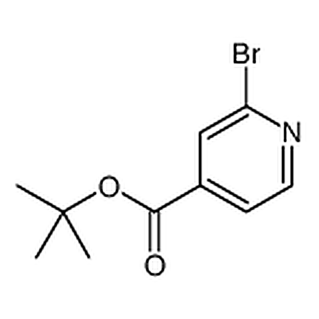 RHAWN tert-Butyl 2-bromoisonicotinate