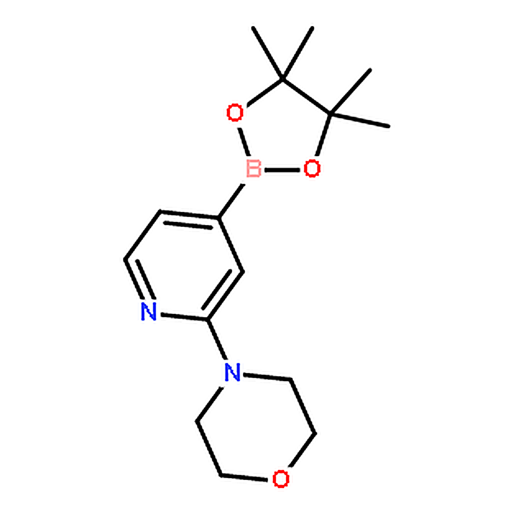 RHAWN 4-(4-(4,4,5,5-Tetramethyl-1,3,2-dioxaborolan-2-yl)pyridin-2-yl)morpholine