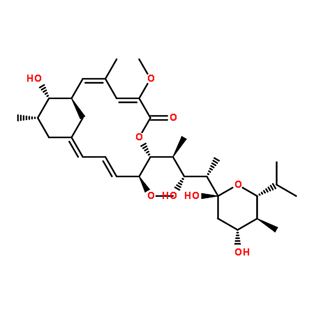 RHAWN Bafilomycin A1