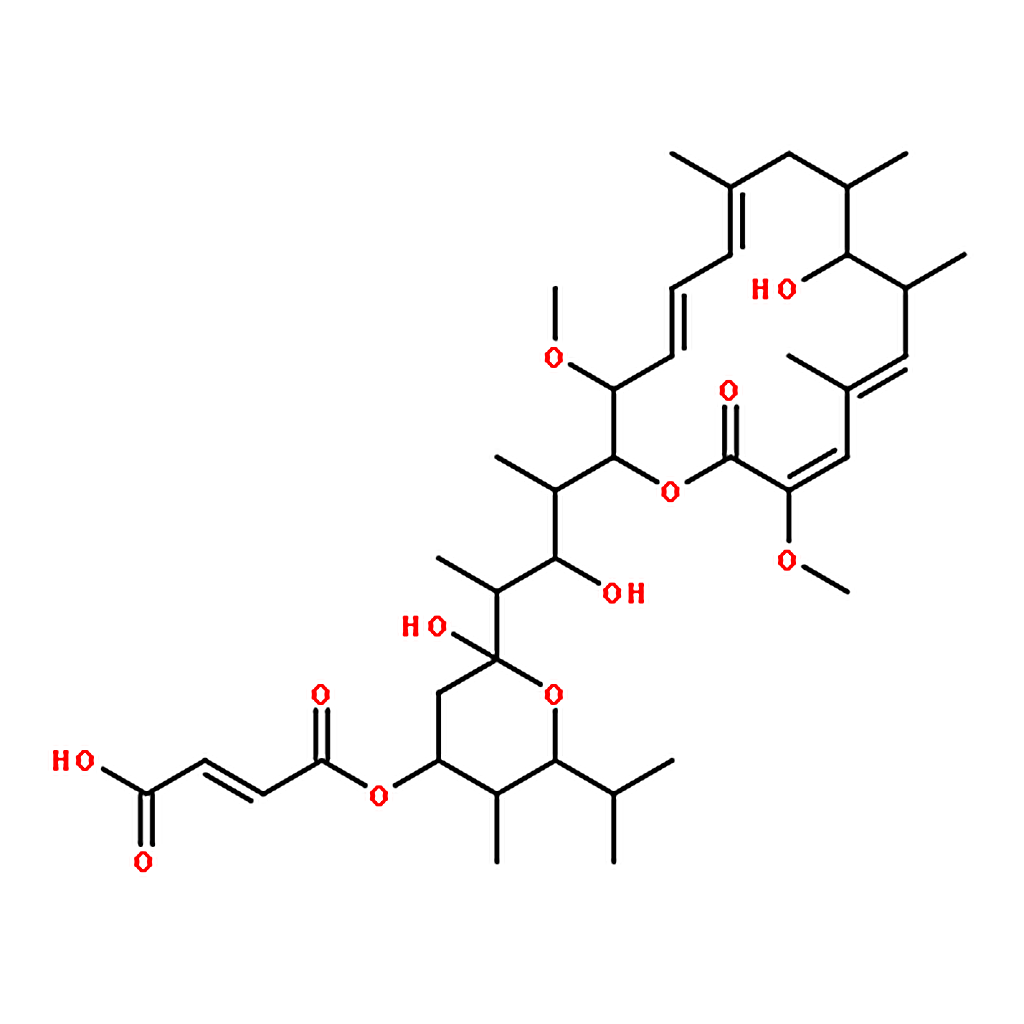 RHAWN Bafilomycin C1