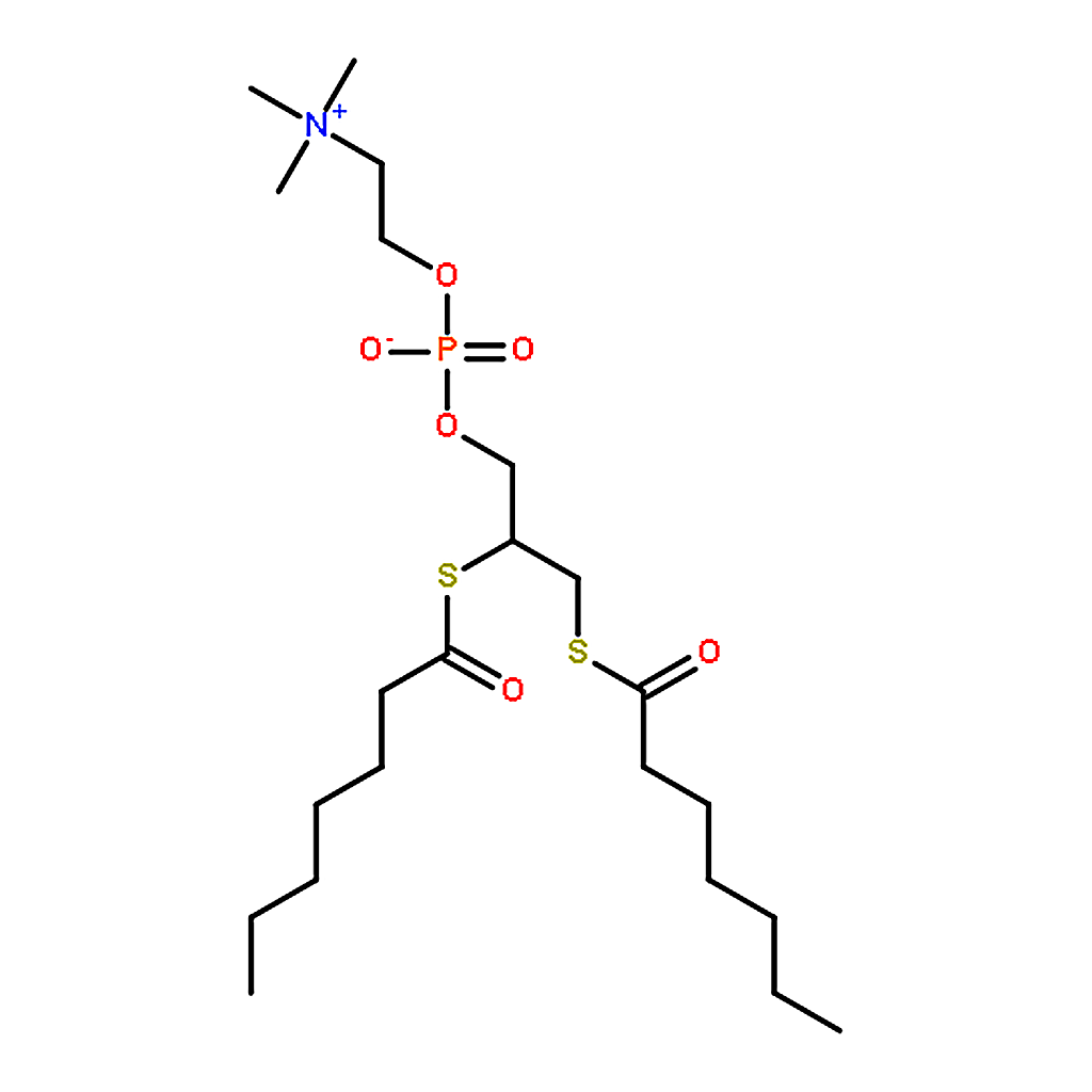 RHAWN 1，2-bis(heptanoylthio) Glycerophosphocholine
