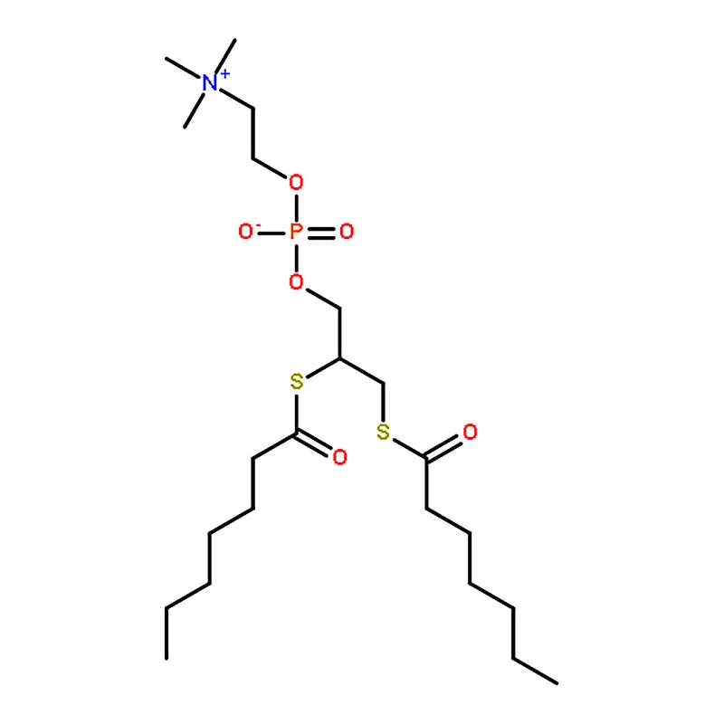 RHAWN 1,2-bis(heptanoylthio) Glycerophosphocholine