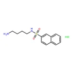 RHAWN <i>N</i>-(4-Aminobutyl)-2-naphthalenesulfonamide Hydrochloride
