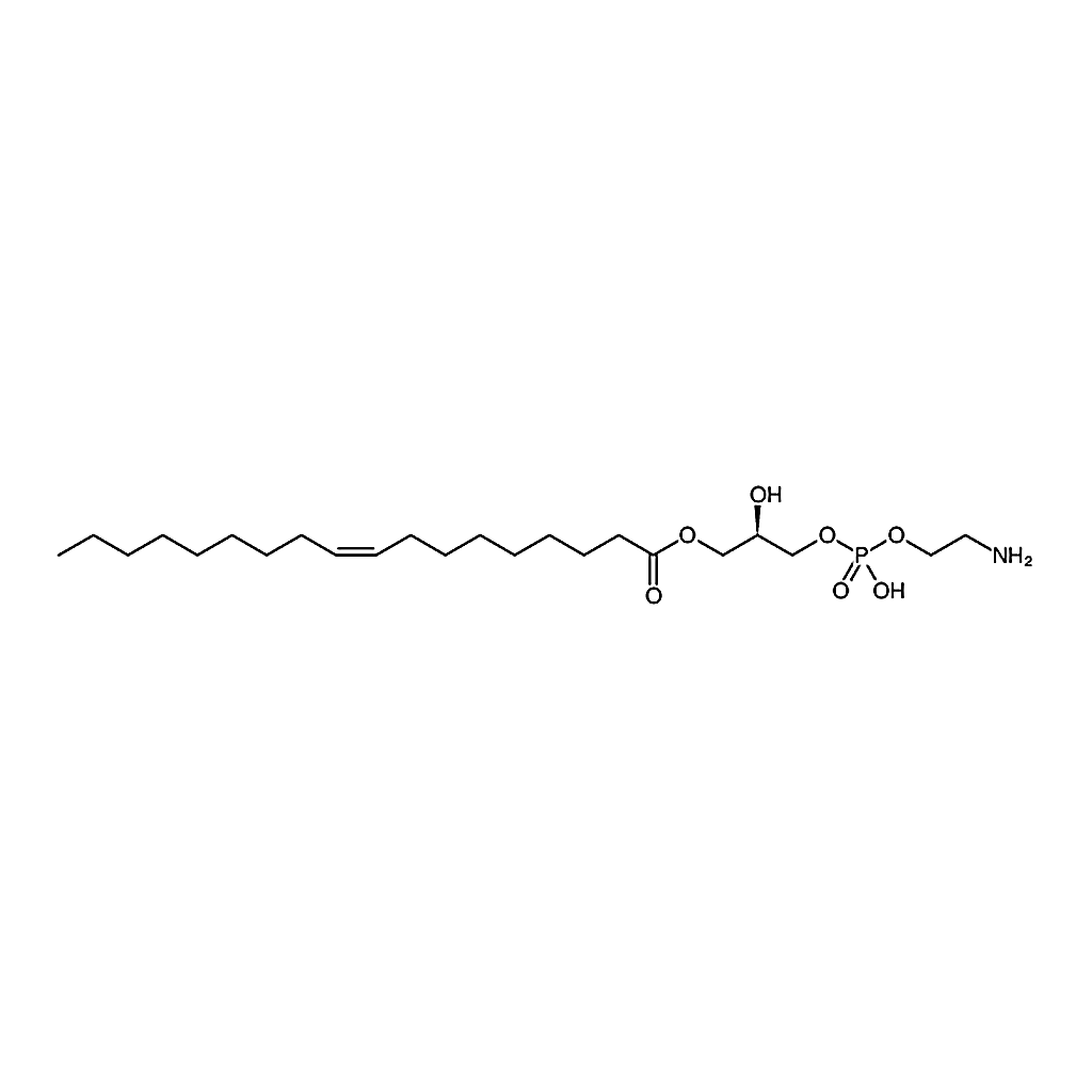 RHAWN 1-oleoyl-2-hydroxy-sn-glycero-3-phosphoethanolamine