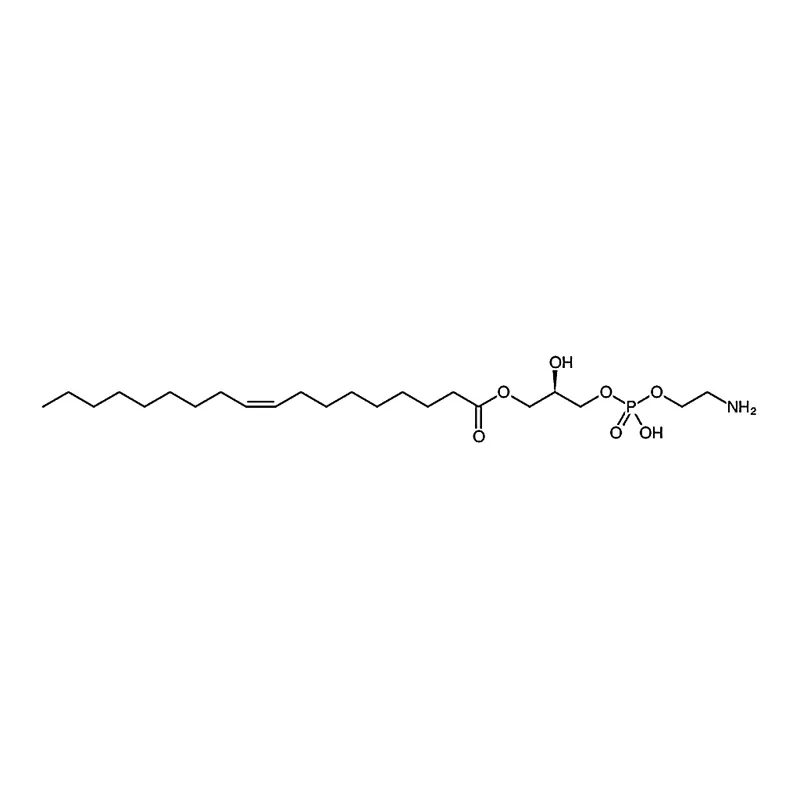 RHAWN 1-oleoyl-2-hydroxy-sn-glycero-3-phosphoethanolamine
