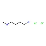 RHAWN N1-Methylbutane-1,4-diamine dihydrochloride