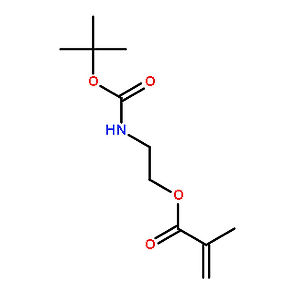 RHAWN 2-((tert-Butoxycarbonyl)amino)ethyl methacrylate