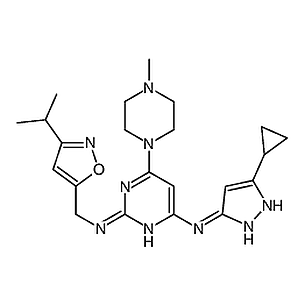 RHAWN XL228