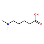 RHAWN 5-(Dimethylamino)pentanoic acid