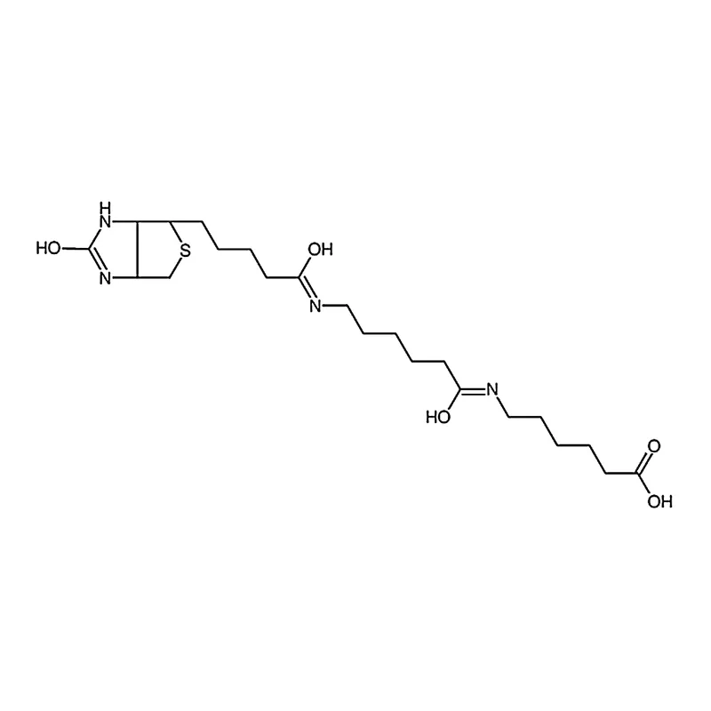 RHAWN LC-LC-(+)-Biotin
