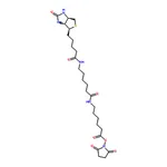 RHAWN Biotinamidohexanoyl-6-aminohexanoic acid N-hydroxysuccinimide ester
