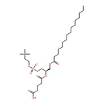 RHAWN 1-palmitoyl-2-glutaryl-sn-glycero-3-phosphocholine