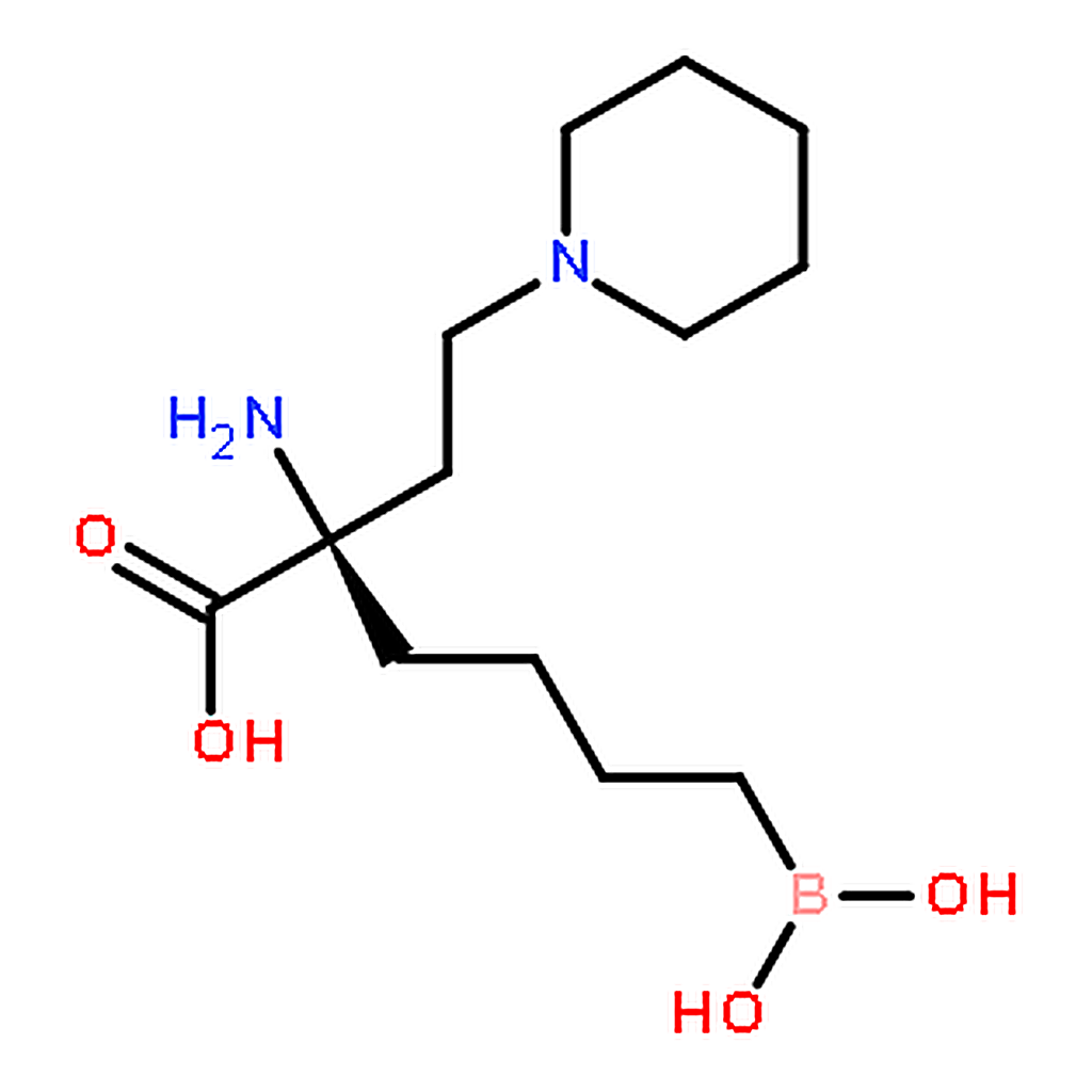 RHAWN Arginase
