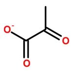 RHAWN Pyruvate Kinase