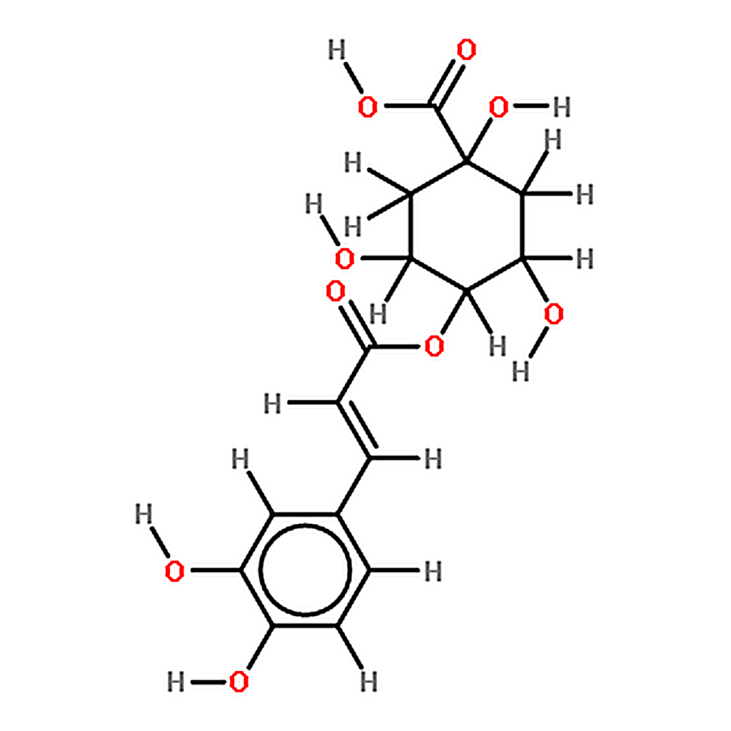 RHAWN 4-O-trans-caffeoylquinic acid