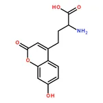 RHAWN (S)-2-Amino-4-(7-hydroxy-2-oxo-2H-chromen-4-yl)butanoic acid