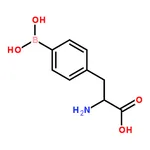 RHAWN 2-Amino-3-(4-boronophenyl)propanoic acid