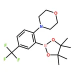 RHAWN 2-Morpholino-5-trifluoromethylphenylboronic acid pinacol ester