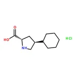 RHAWN H-Chpro-OH.HCl