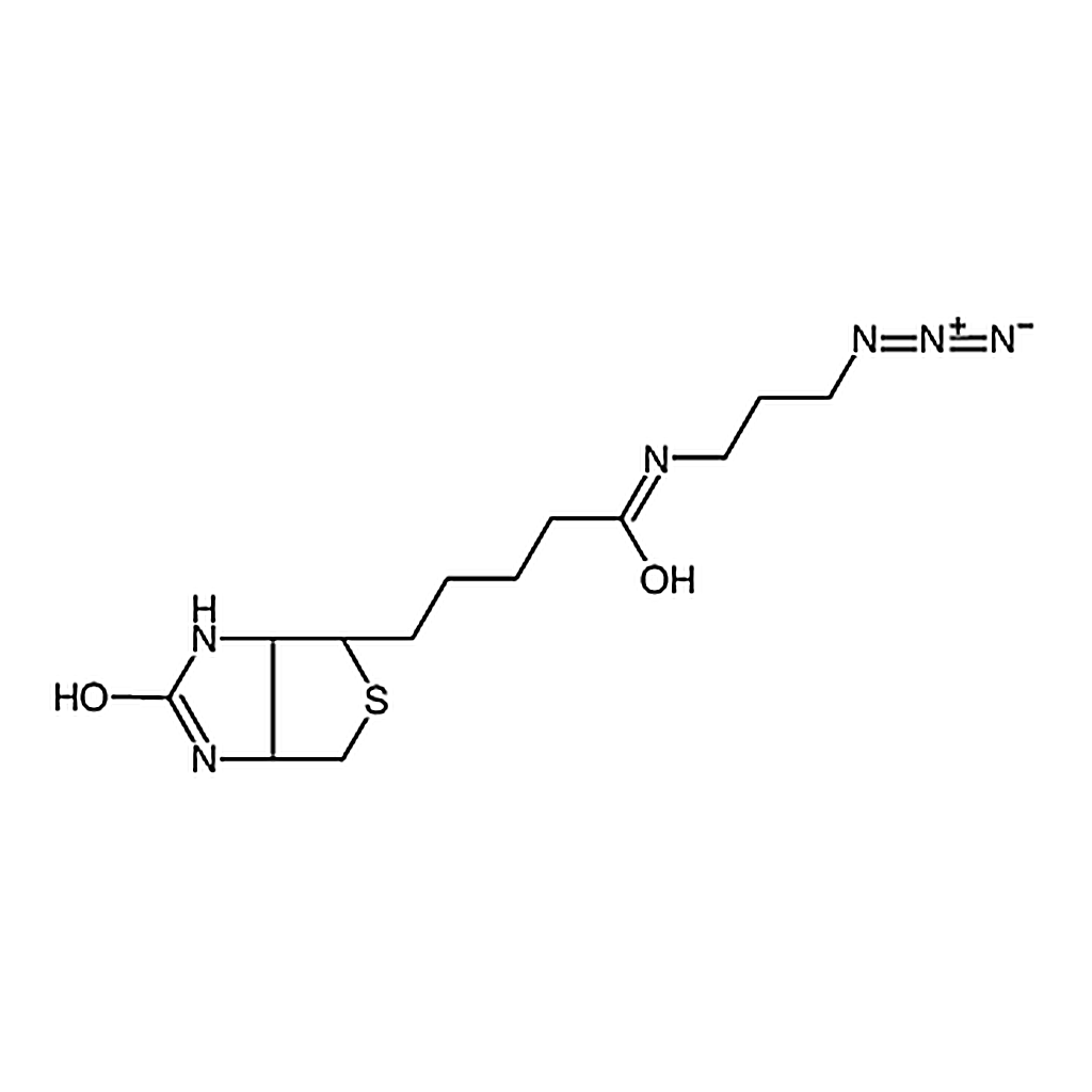 RHAWN <i>N</i>-(3-Azidopropyl)biotinamide